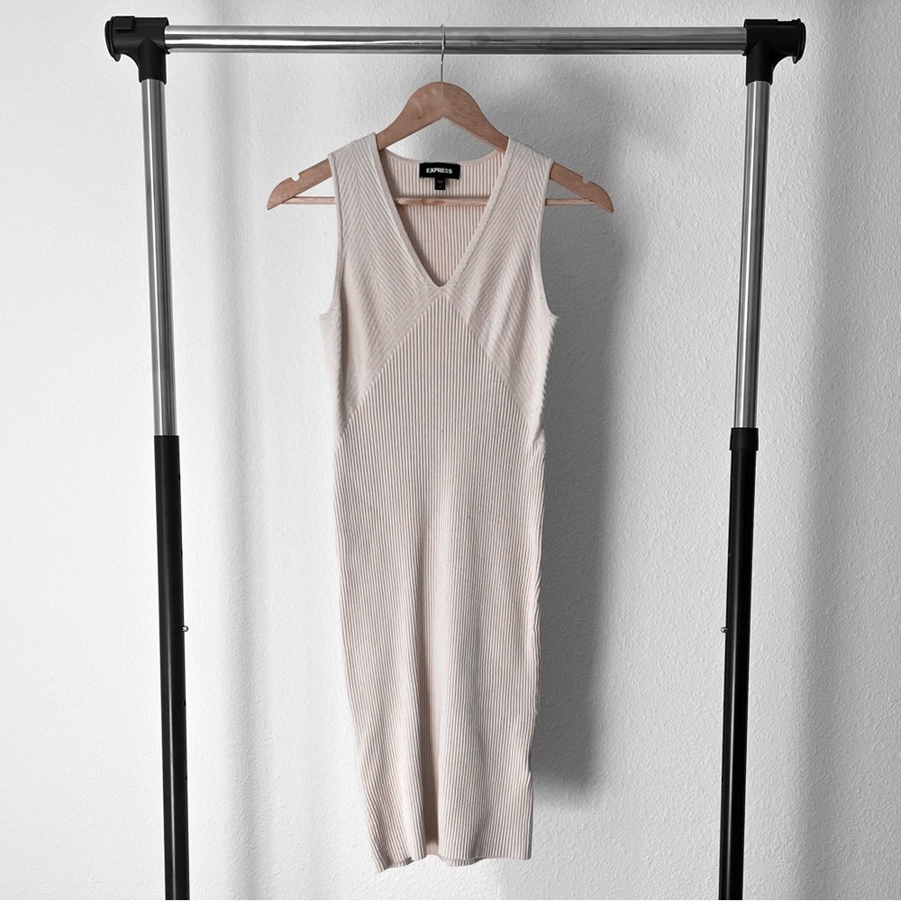 Express Sweater dress